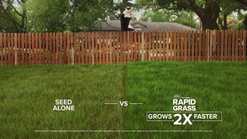 Split-field grass comparison composited into a backyard scene in the Scotts Rapid Grass commercial