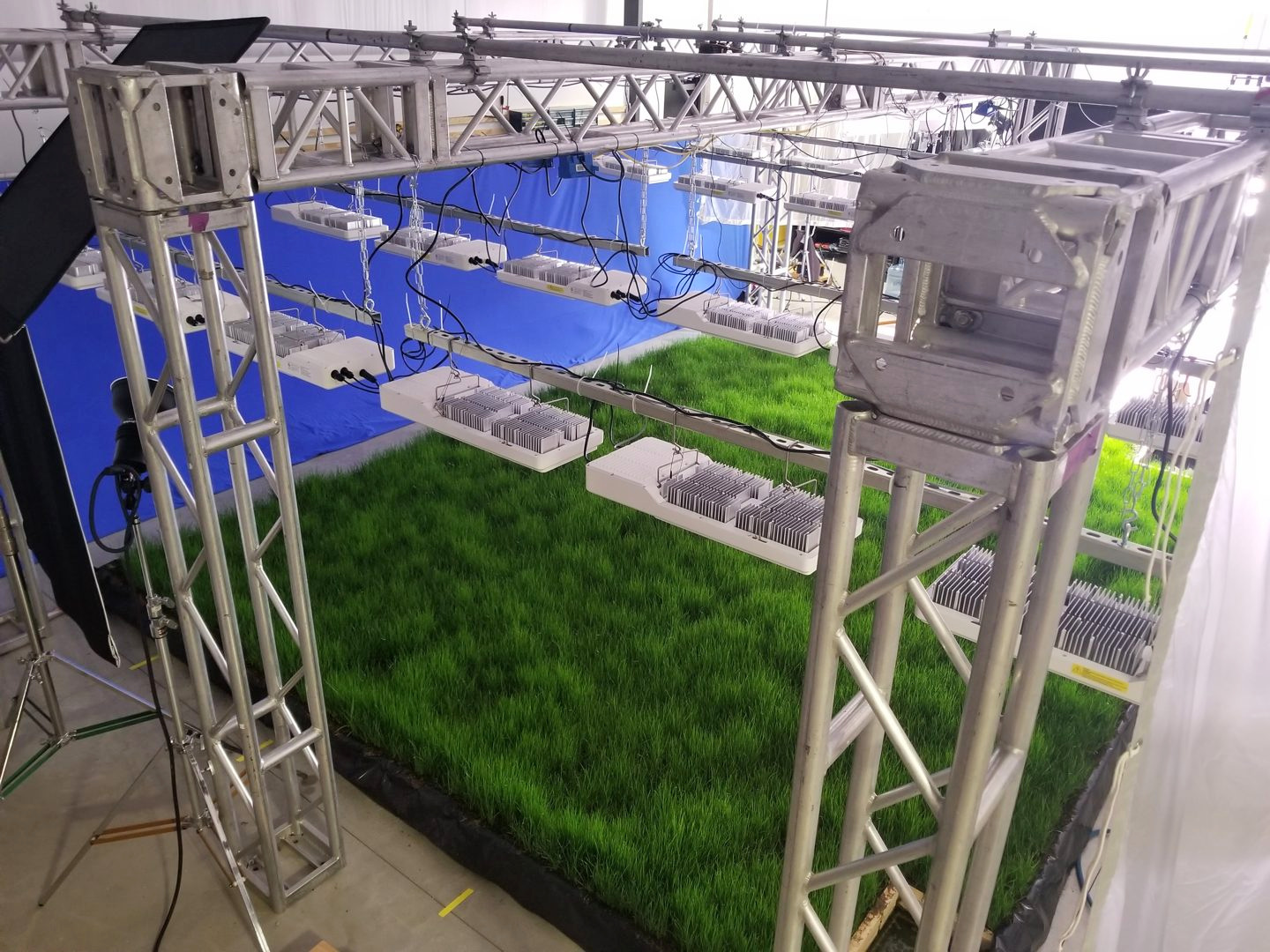 Overhead view of grass beds, grow lights, and a studio camera rig